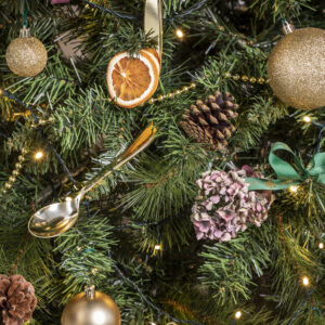 Christmas Entertaining Demonstration and Lunch