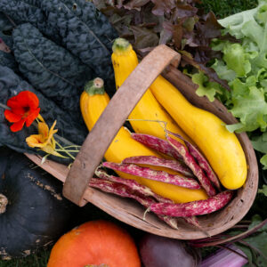 Seasonal Autumnal Cooking