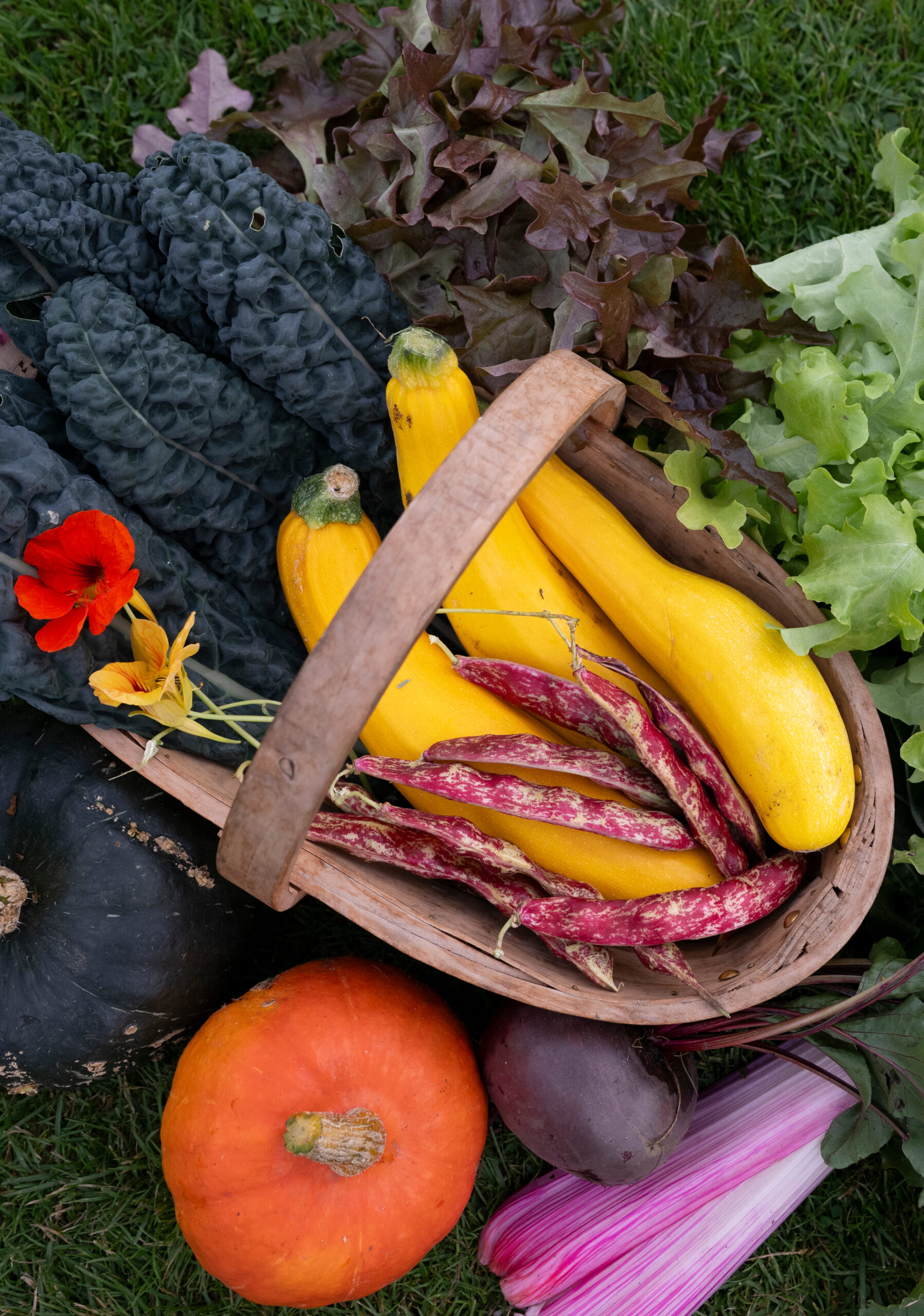 Seasonal Autumnal Cooking